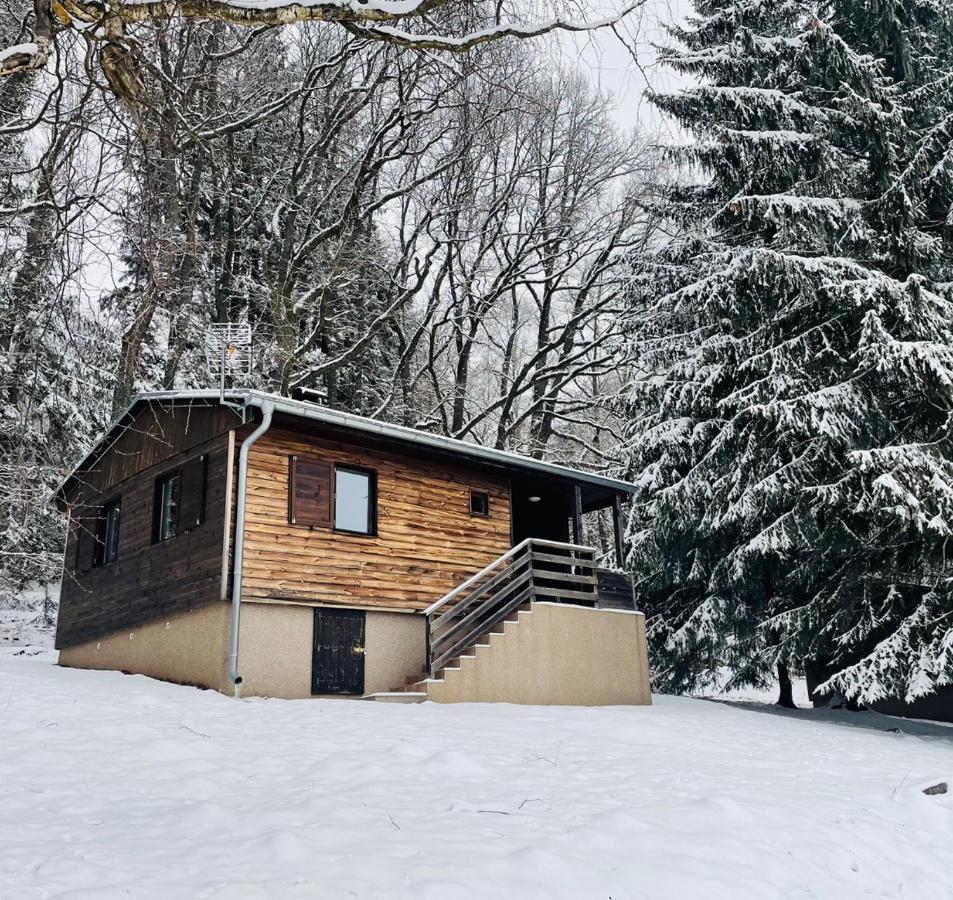 Chata Adam u Lipna Horní Planá Bagian luar foto